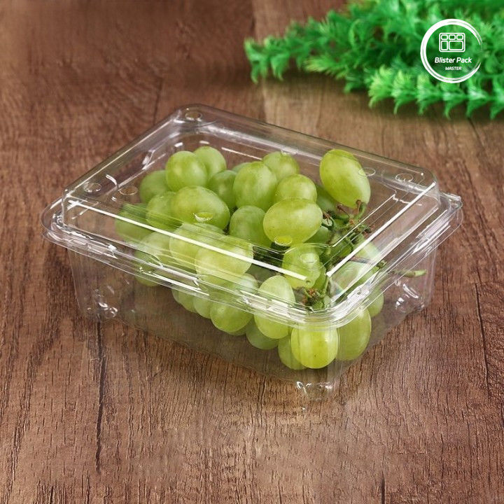 OEM/ODM Clamshell eenmalig fruitbakje en groentenverpakkingen helder PET-plastic voedselkwaliteit