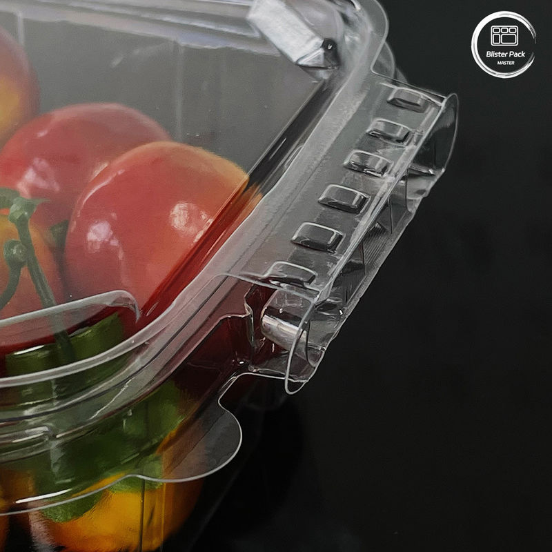 Eco-vriendelijke 16 & 24 oz-saladederivaten met bevestigde deksels, wegwerpbaar voor verse producten