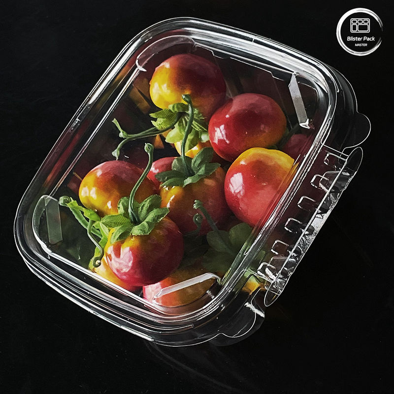 Eco-vriendelijke 16 & 24 oz-saladederivaten met bevestigde deksels, wegwerpbaar voor verse producten