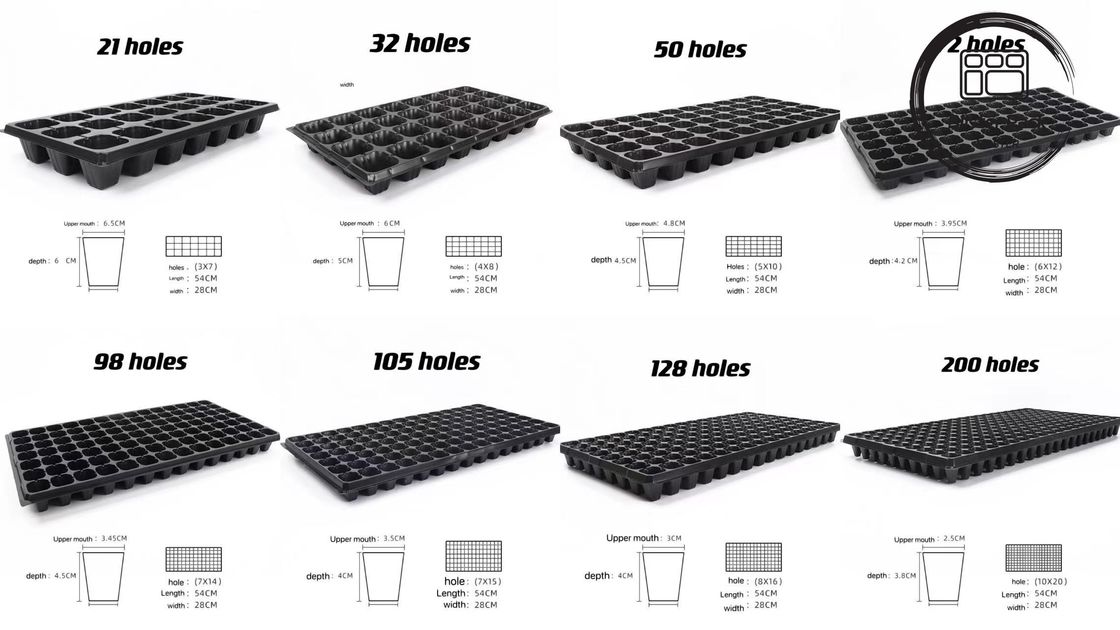 Goedkope Multi Cell grote plastic zaadbakken 21 tot 120 cellen voor groenten en plantenzaadjes