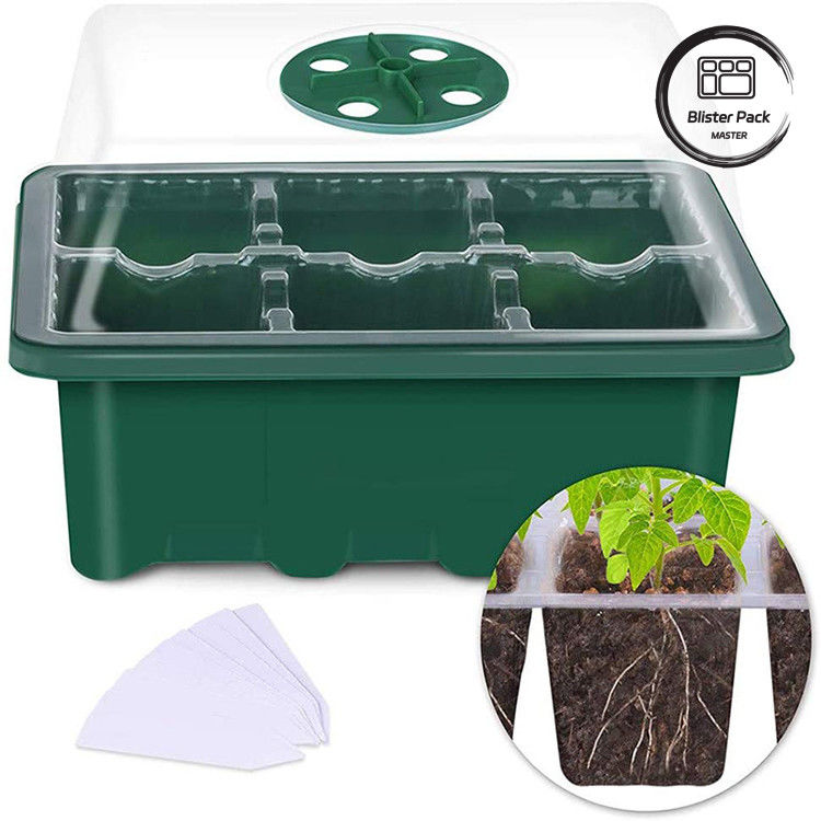 Stijlvolle tuin inrichting binnen stijve plastic zaadbakken Micro groen kwekerij systeem