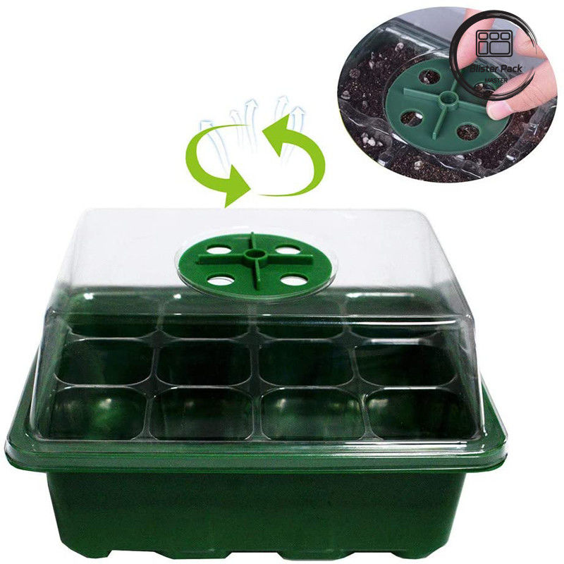 Multifunktioneel binnentuin kinderkamerdoos Plastic zaadplaten / 6 celzaadplaten