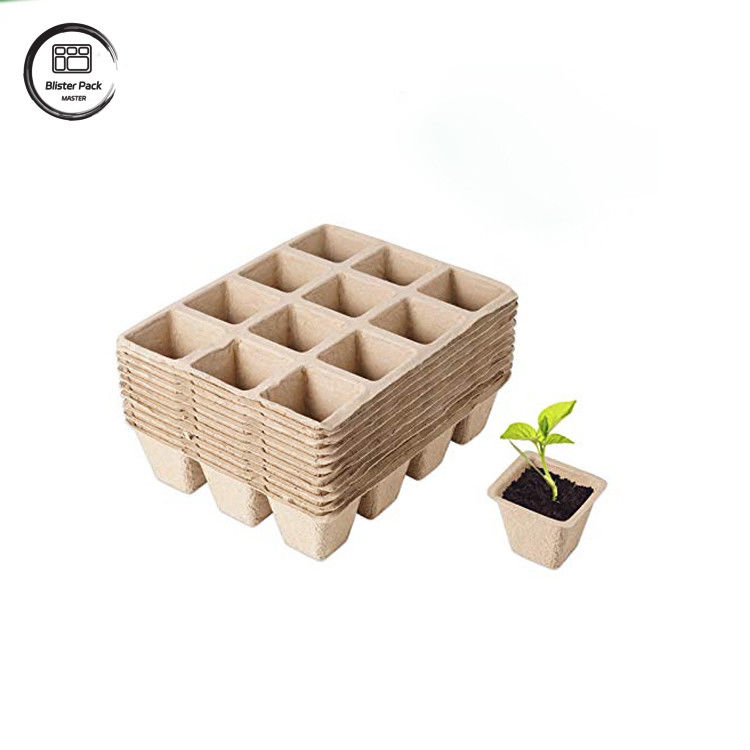 Biologisch afbreekbare suikerrietbagasse op maat 12 celplantenbakken Starter kit voor zaadplant