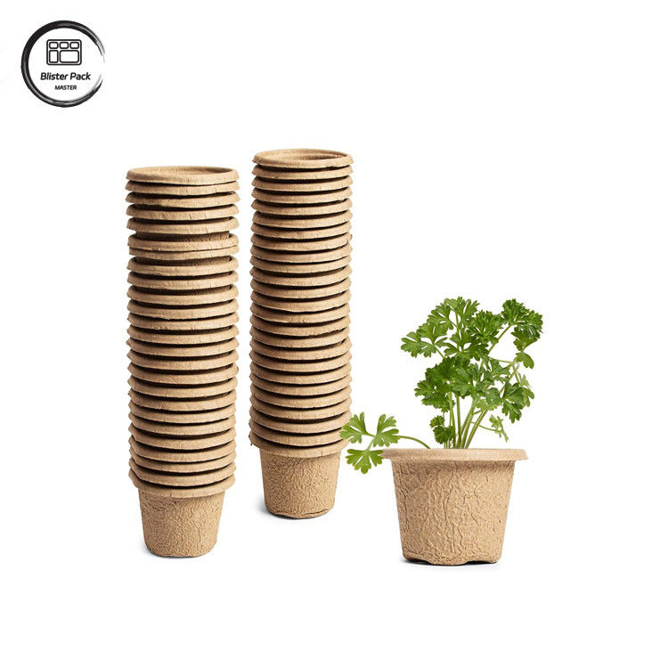 Biologisch afbreekbare suikerrietbagasse op maat 12 celplantenbakken Starter kit voor zaadplant