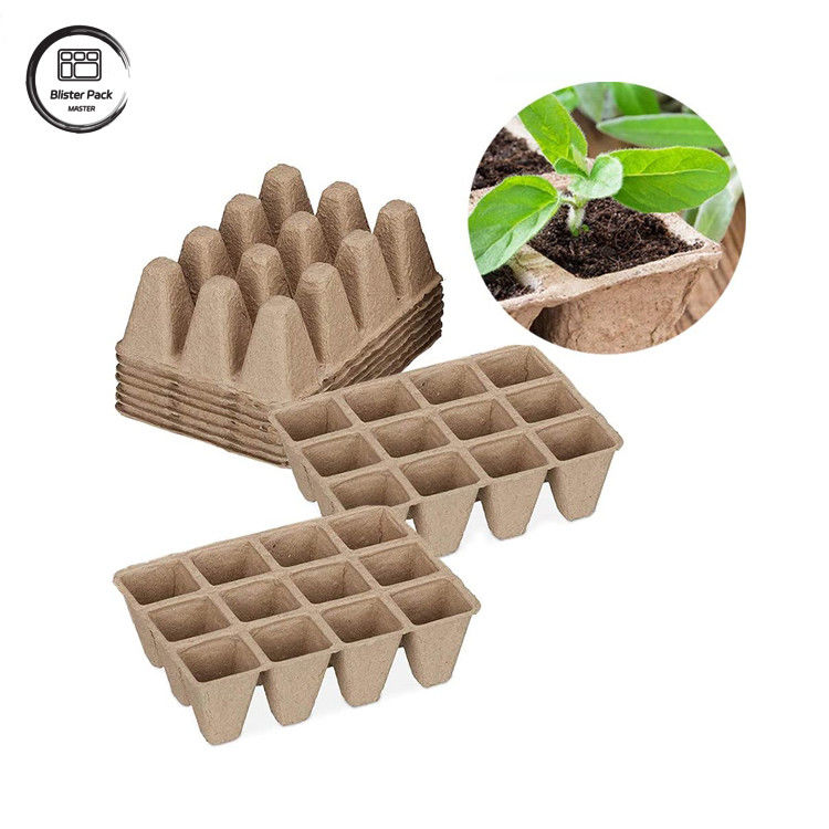Biologisch afbreekbare suikerrietbagasse op maat 12 celplantenbakken Starter kit voor zaadplant