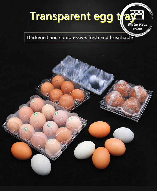 15 Cellenhangende Clamshell Duidelijke Plastic Eierenbakken Beveiligde Thermovormige Plastic Verzendbakken