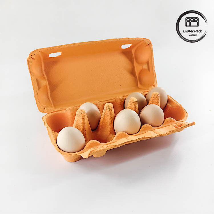 Op maat gemaakte Eco Quail Egg Packaging 12 6 4 Paper Pulp Box Eierdozen Voor Kipeneieren
