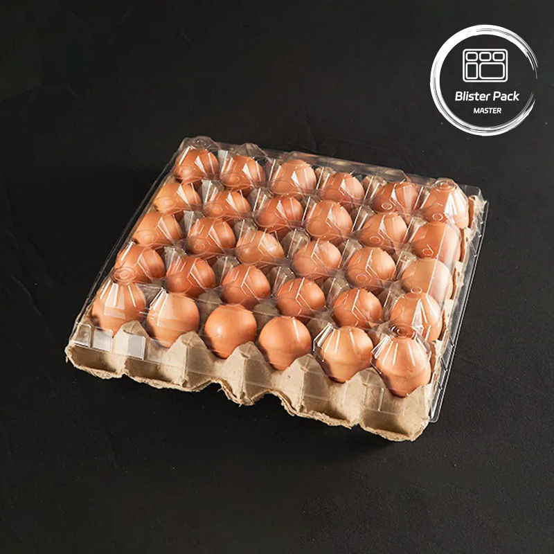 20/24/30 Cell PET Clear Plastic Egg Blister Tray Wegwerpeerbaar kwartel kip ei verpakking met deksel