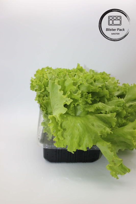 Kunstmatige tuin Groenten en fruit Plastic zaadplaten Perfect voor de decoratie