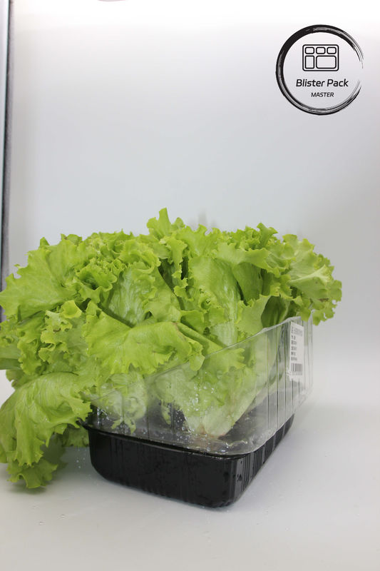 Kunstmatige tuin Groenten en fruit Plastic zaadplaten Perfect voor de decoratie