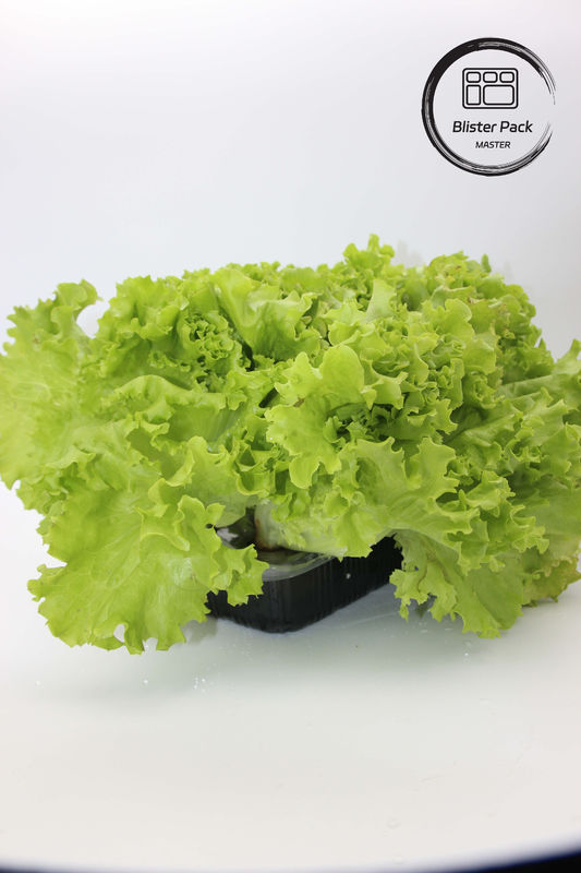 Kunstmatige tuin Groenten en fruit Plastic zaadplaten Perfect voor de decoratie