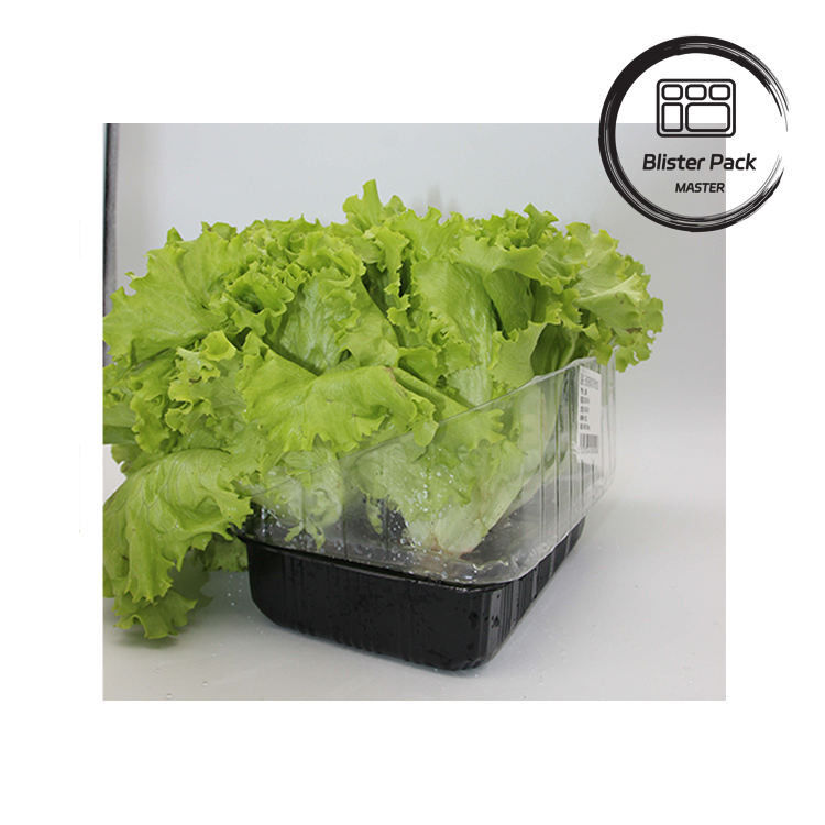 Kunstmatige tuin Groenten en fruit Plastic zaadplaten Perfect voor de decoratie