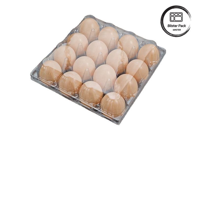 20/24/30 Cell PET Clear Plastic Egg Blister Tray Wegwerpeerbaar kwartel kip ei verpakking met deksel