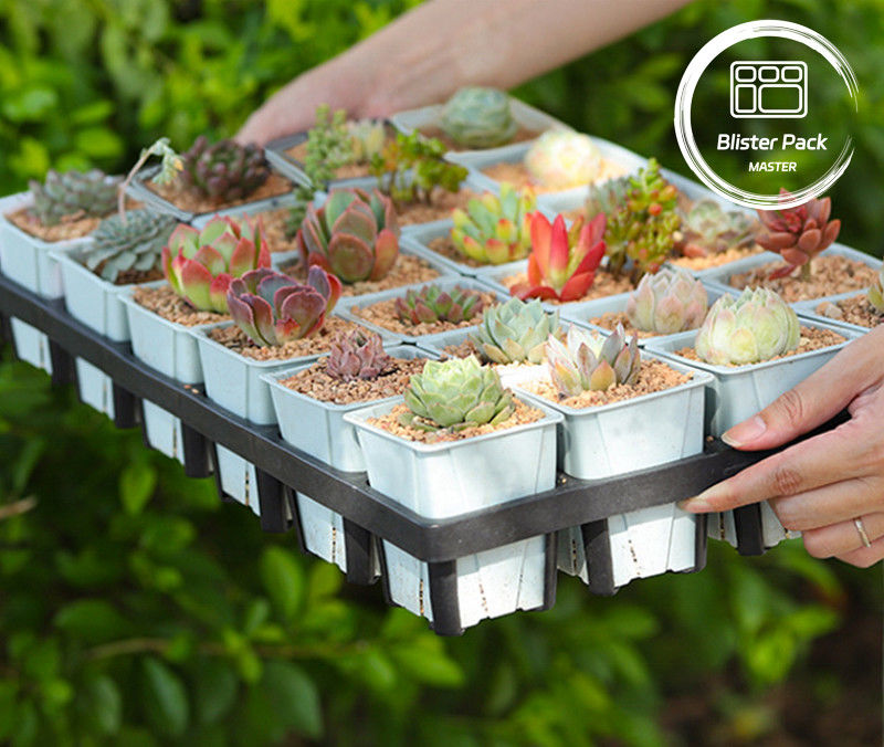 Duurzame plastic planterschaal 24 holes Succulente kwekerij pot te kweken schotel voor de tuin