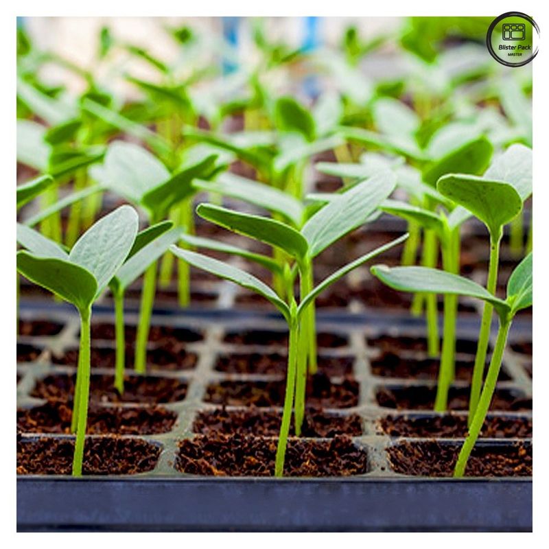 Duurzame plug-zaadbakken voor de vermenigvuldiging van planten, 28/32/50/72/105/128/200/288 Celverkwekerszaadbakken